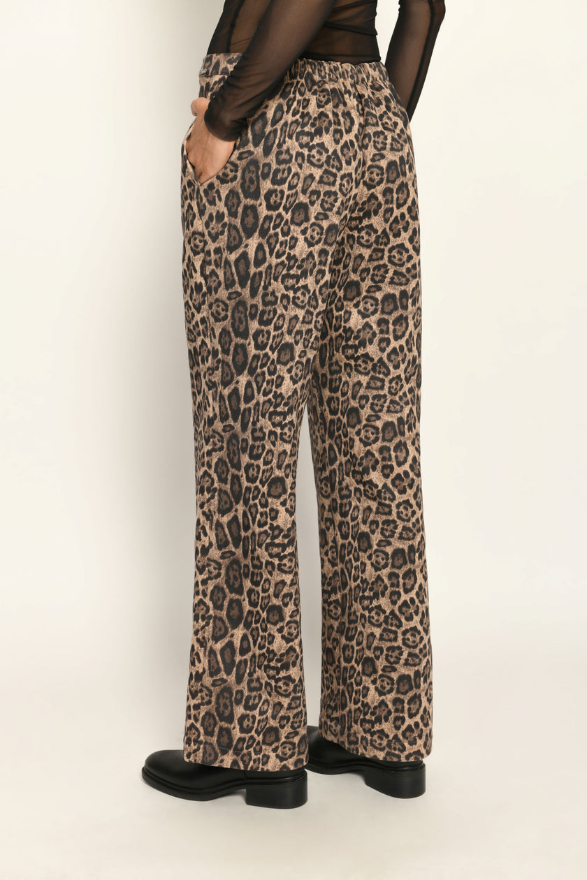 Lange Hose aus Scuba im Leo-Dessin für Damen, lässig kombiniert mit schwarzem transparentem Oberteil – Rückansicht.